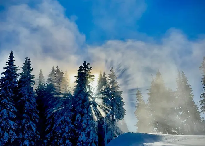 Lejlighed In Castle 1 *